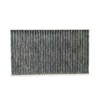 Auto Parts Air Cabin Filter 670 005 021